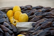 Продам свежие живые Мидии