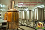 Продажа пива,  кваса,  лимонада,  мохито