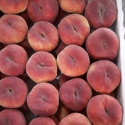Предлагаем оптовые поставки плоского персика из Испании